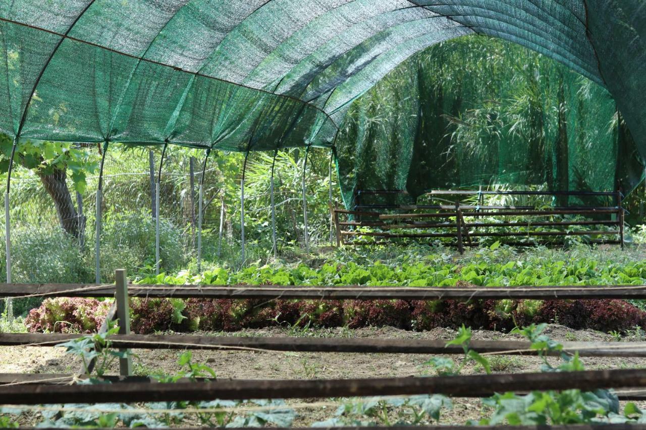 Honigtal Farmland Villa Agios Georgios Pagon Exterior photo